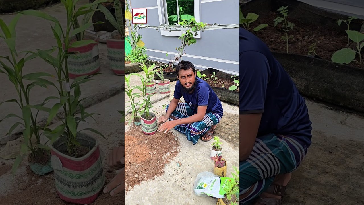 যে কোন ইনডোর গাছ লাগান Siraj Tech এর Geo Bag এ 🌿 | Indoor Plant Bag | Siraj Tech