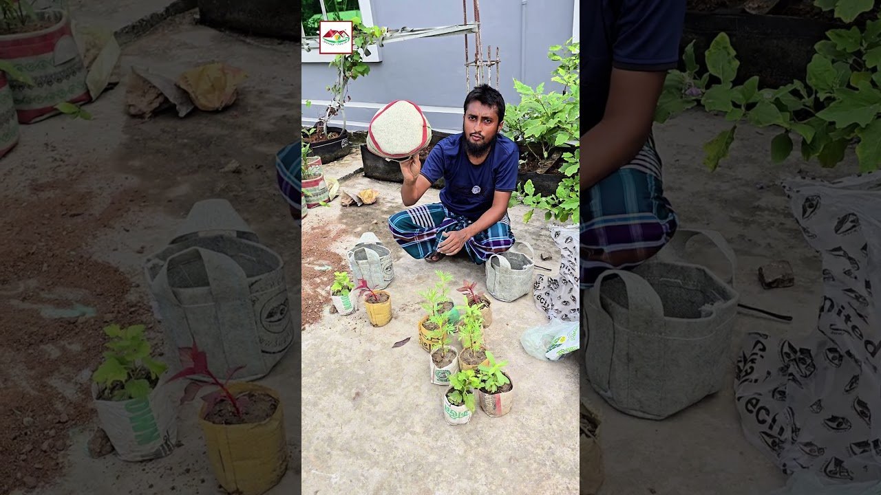 শীতকালের ফুল গাছ লাগানোর জন্য ব্যবহার করুন Siraj Tech এর Geo Bag 🌼 | Winter Flower Gardening | Sir