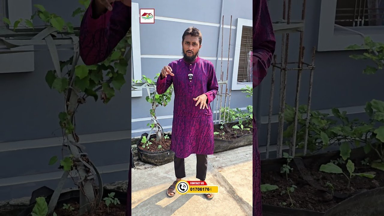 কেন রাউন্ড বেডে ফলের গাছ লাগাবেন? 🍎 বিস্তারিত জানুন | Geo Bed Gardening | Siraj Tech