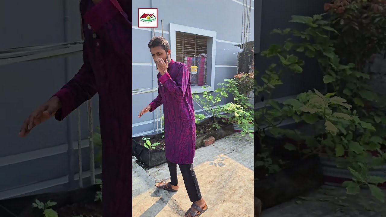 সবজির বেডে ফলের গাছ লাগানো যায়! 🌿 | লাইভ প্রমাণ দেখুন | Siraj Tech Geo Bed