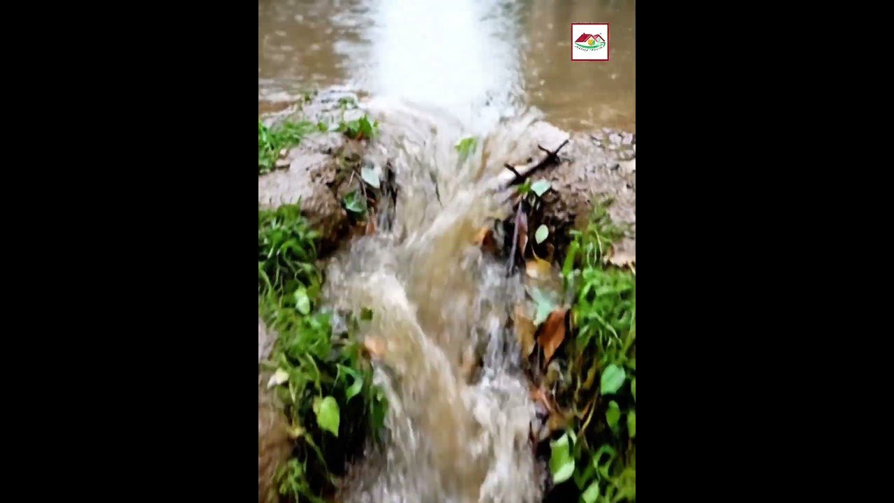 পুকুর ভরাট মানে গ্রামের ফুসফুস বন্ধ করা