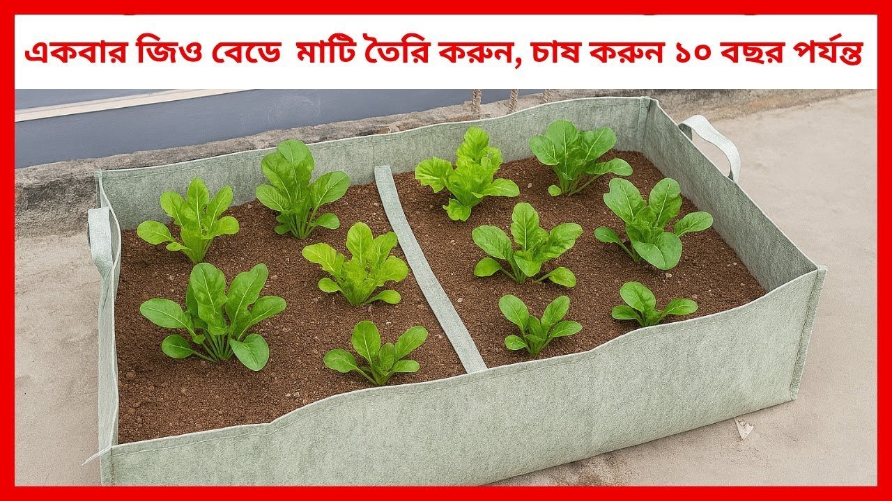 একবার মাটি তৈরি করুন, চাষ করুন ১০ বছর পর্যন্ত! 🌿 | Long Lasting Soil Bed | Siraj Tech Rooftop Garde