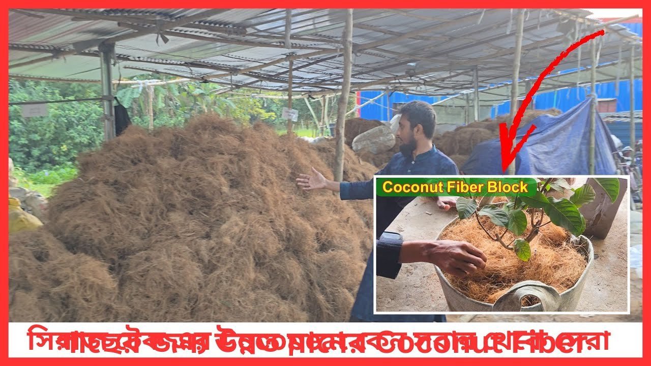 গাছের জন্য উন্নত মানের Coconut Fiber