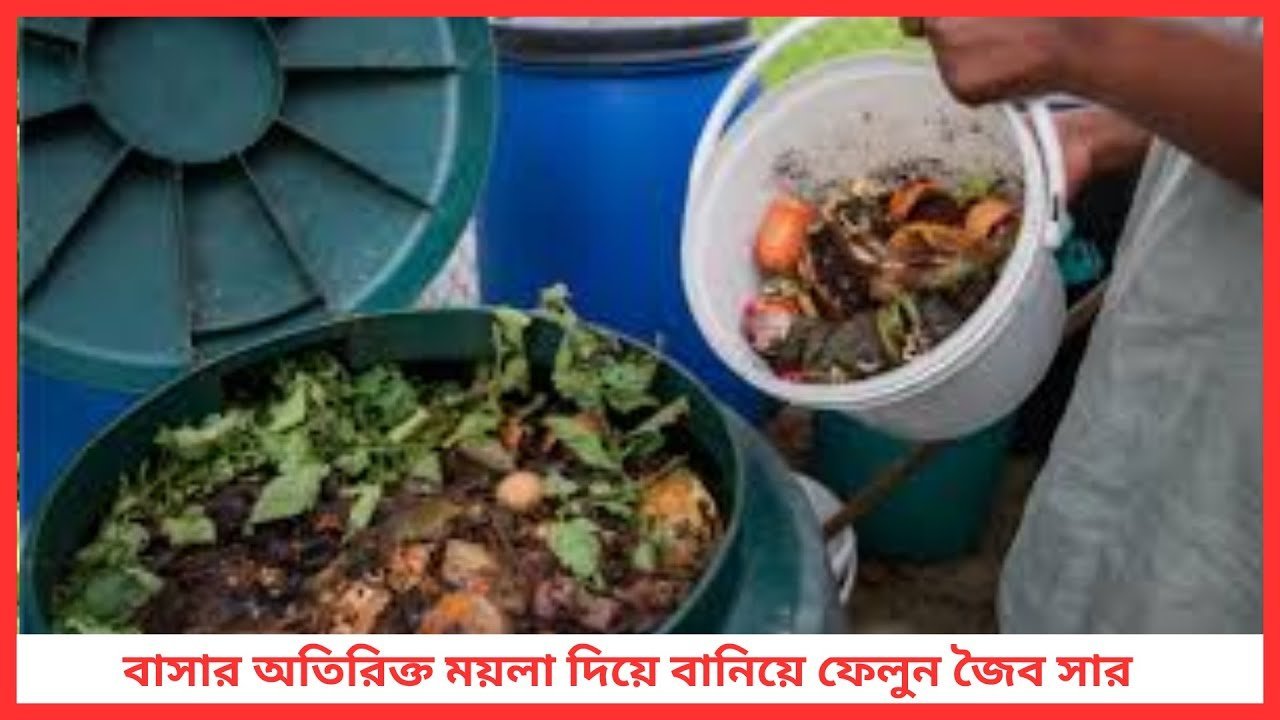 বাসার অতিরিক্ত ময়লা দিয়ে বানিয়ে ফেলুন জৈব সার