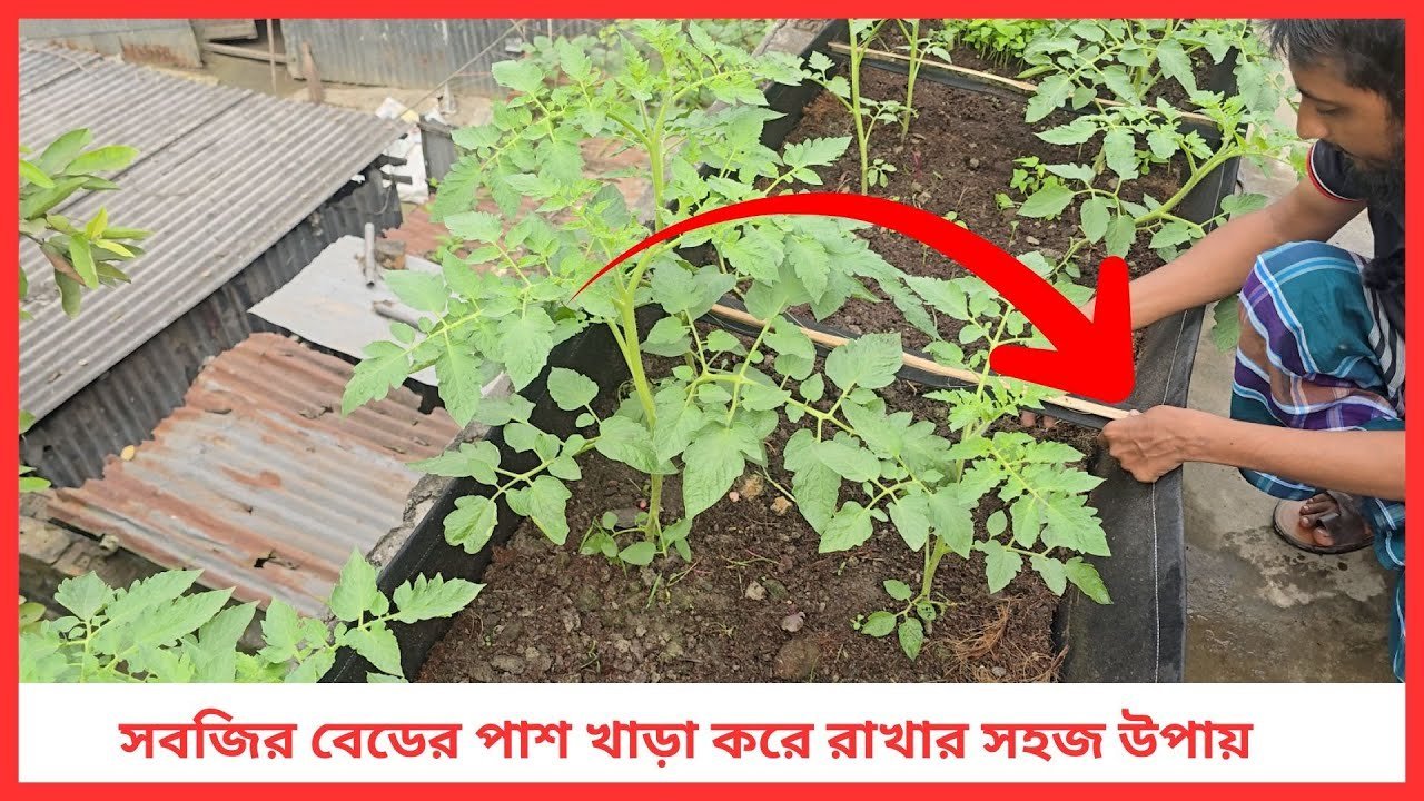 সবজির বেডের পাশ খাড়া করে রাখার সহজ উপায় 🌱 | Raised Bed Support | Siraj Tech Gardening Tips