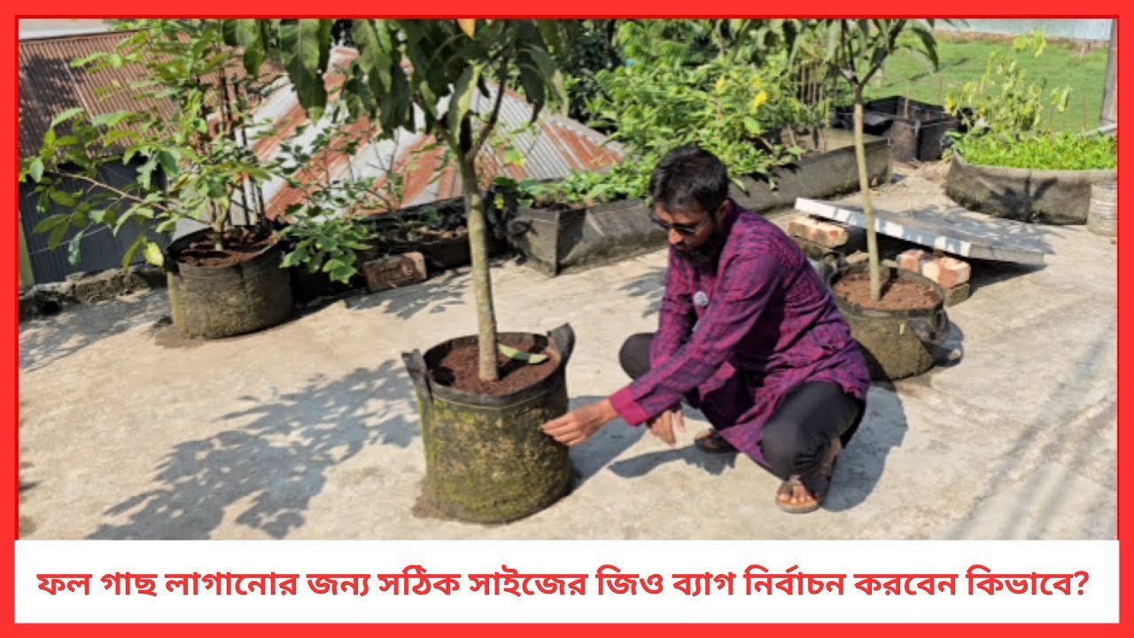 ফল গাছ লাগানোর জন্য সঠিক সাইজের জিও ব্যাগ নির্বাচন করবেন কিভাবে? 🍋🌱 | Siraj Tech Grow Bag Guide