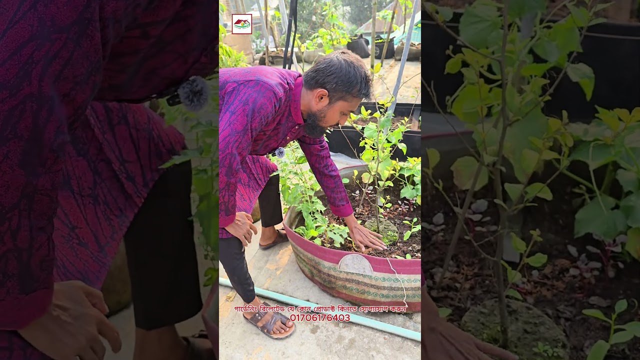 কোন সাইজের গাছের জন্য কোন সাইজের জিও ব্যাগ পারফেক্ট — জেনে নিন এই ভিডিওতে