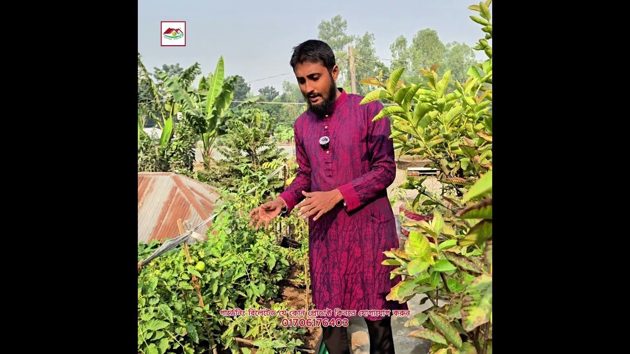 শীতকালে সবজি চাষের জন্য সেরা সমাধান — সিরিয়াস টেকের সবজি বেড